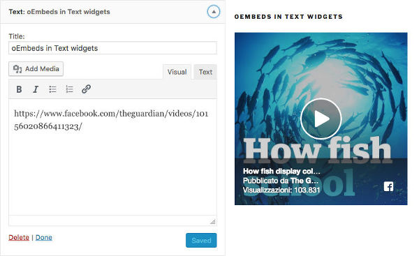  WordPress 4.9 oEmbeds are allowed in Text widgets