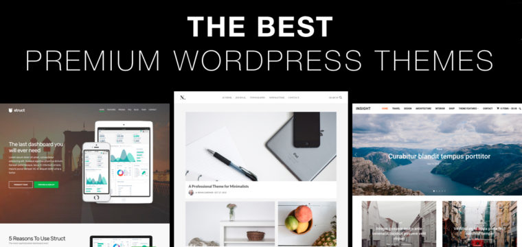 5 Reasons Why You Should Use Premium WordPress Themes