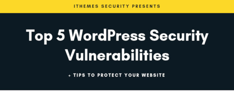 Top 5 WordPress Security Vulnerabilities + Tips To Protect Your Website – infographic