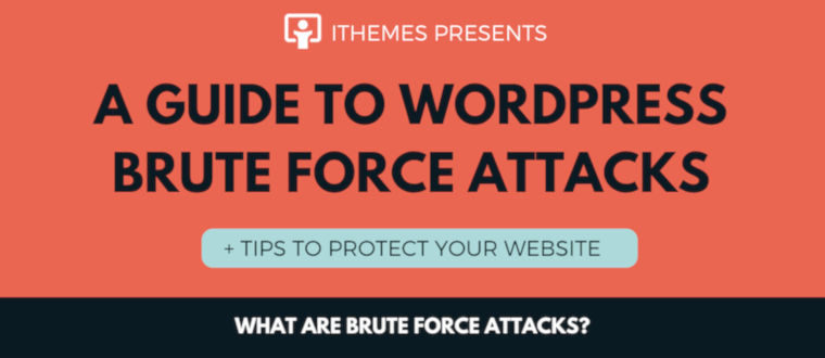 A Guide To Brute Force Attacks + Tips To Protect Your Website – infographic
