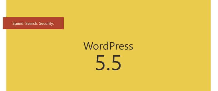 WordPress 5.5 is here, are you ready to jump in?