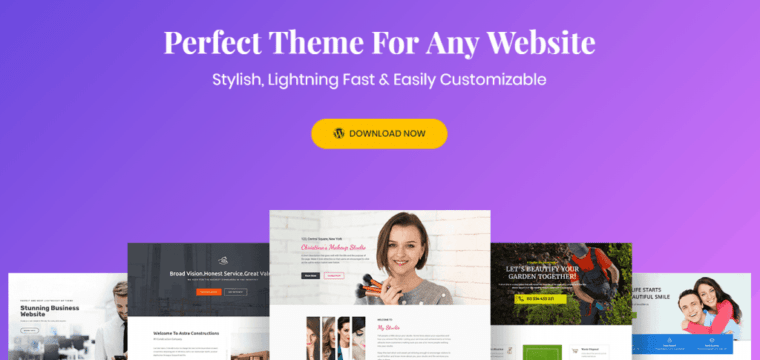 Astra Theme for WordPress – The Ideal Elementor Theme?